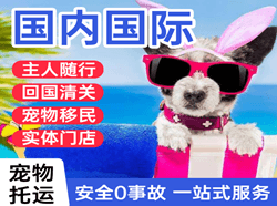 东阳横店机场货运国际宠物托运 【国